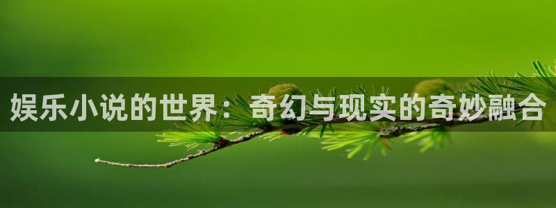伟德国际1946体育凯捷平台注册：娱乐小说的世界：奇幻与现实的奇妙融合