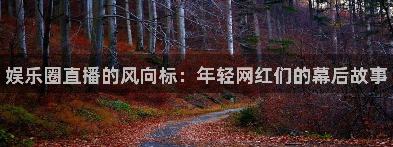 伟德国际1946：娱乐圈直播的风向标：年轻网红们的幕后故事