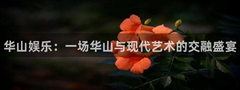 伟德国际1946登录：华山娱乐：一场华山与现代艺术的交融盛宴