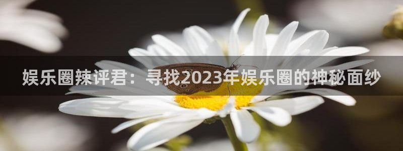 伟德国际1946主管：娱乐圈辣评君：寻找2023年娱乐圈的神秘面纱