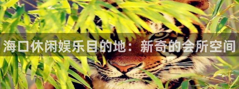 伟德国际1946游戏有哪些好玩的：海口休闲娱乐目的地：新奇的会所空间