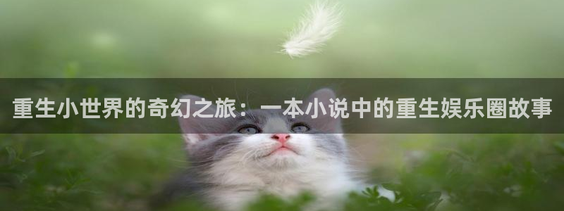 伟德国际1946体育注册：重生小世界的奇幻之旅：一本小说中的重生娱乐圈故事