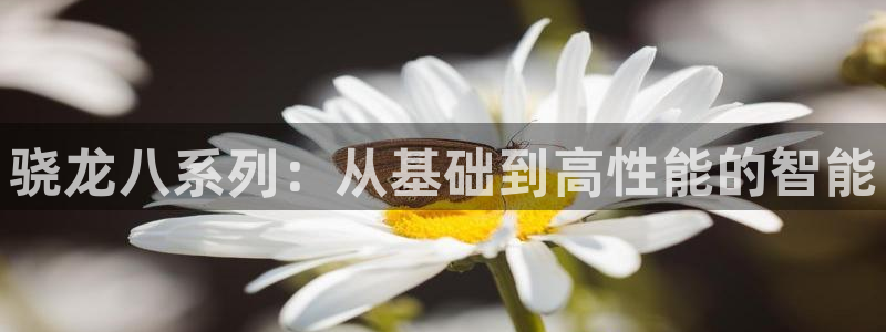 伟德国际1946体育代理：骁龙八系列：从基础到高性能的智能
