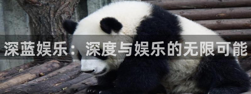 伟德国际1946主管：深蓝娱乐：深度与娱乐的无限可能