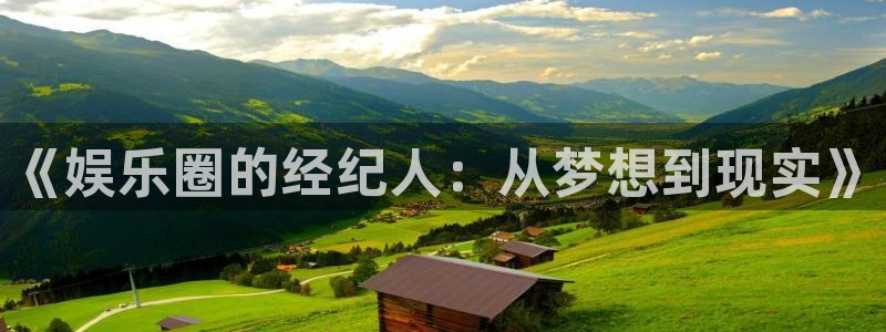 伟德国际1946平台注册入口：《娱乐圈的经纪人：从梦想到现实》