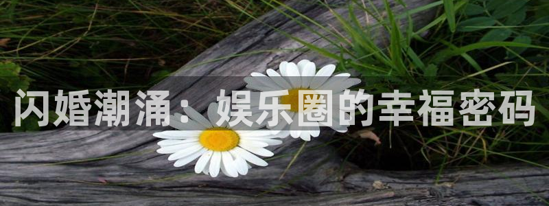 伟德国际1946游戏有哪些好玩的：闪婚潮涌：娱乐圈的幸福密码