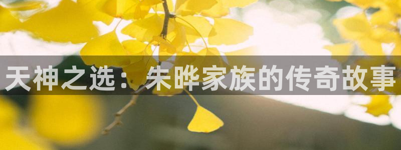 伟德国际1946体育凯捷平台代理：天神之选：朱晔家族的传奇故事