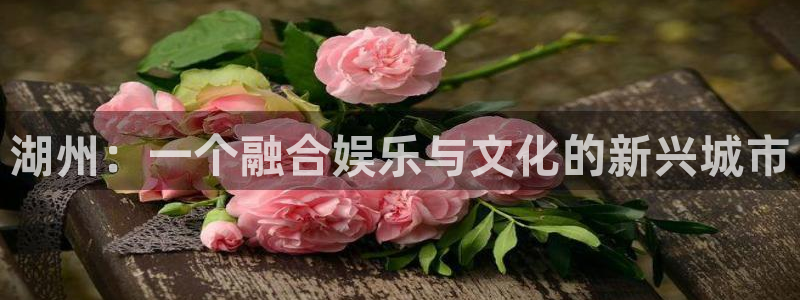 伟德国际19463官网登录：湖州：一个融合娱乐与文化的新兴城市