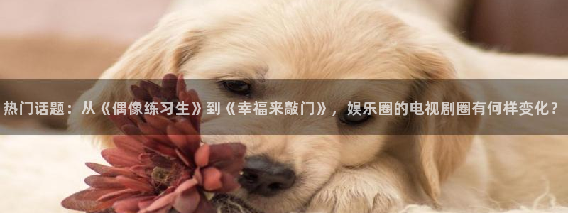 伟德国际1946体育注册代理：热门话题：从《偶像练习生》到《幸福来敲门》，娱乐圈的电视剧圈有何样变化？