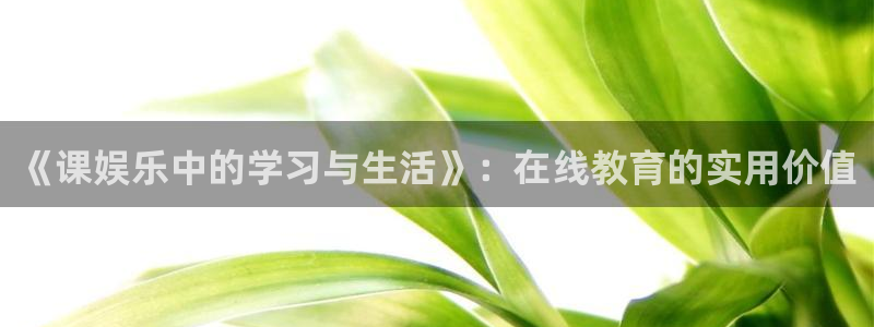 伟德国际19464登录：《课娱乐中的学习与生活》：在线教育的实用价值