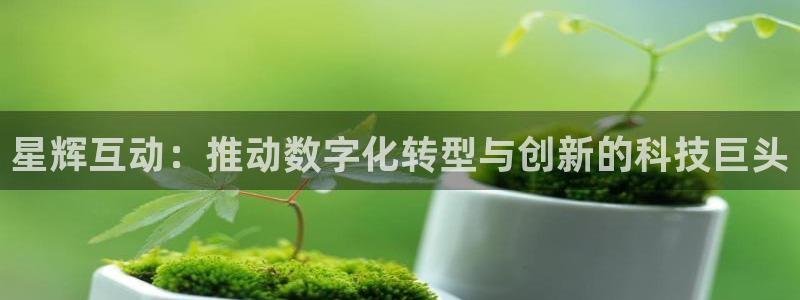 上海伟德国际1946汽车电子有限公司：星辉互动：推动数字化转型与创新的科技巨头