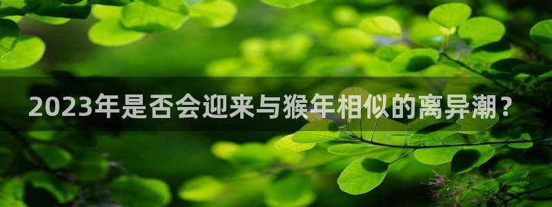 伟德国际1946官网：2023年是否会迎来与猴年相似的离异潮？