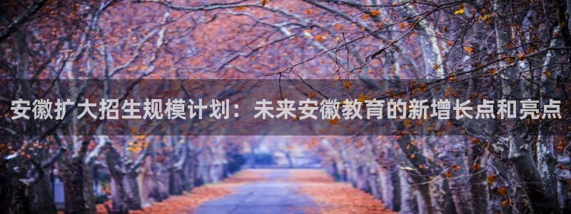 上海伟德国际1946汽车电子有限公司：安徽扩大招生规模计划：未来安徽教育的新增长点和亮点