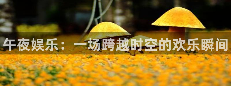 伟德国际19465注册：午夜娱乐：一场跨越时空的欢乐瞬间