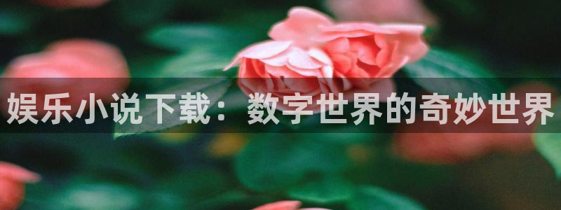 伟德国际1946凯捷平台：娱乐小说下载：数字世界的奇妙世界