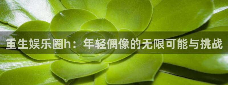 伟德国际1946体育平台总代理：重生娱乐圈h：年轻偶像的无限可能与挑战