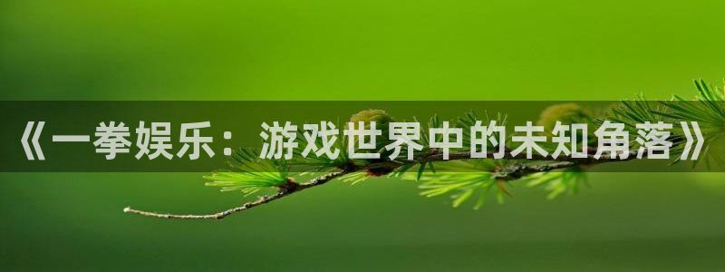 伟德国际1946体育注册登录入口：《一拳娱乐：游戏世界中的未知角落》