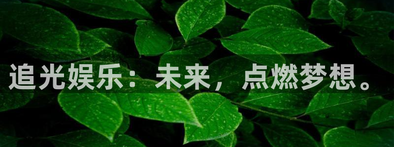 伟德国际1946平台在线开户：追光娱乐：未来，点燃梦想。