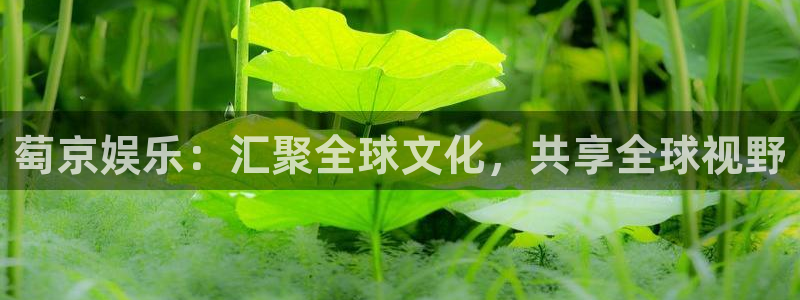 伟德国际1946集团股票：萄京娱乐：汇聚全球文化，共享全球视野