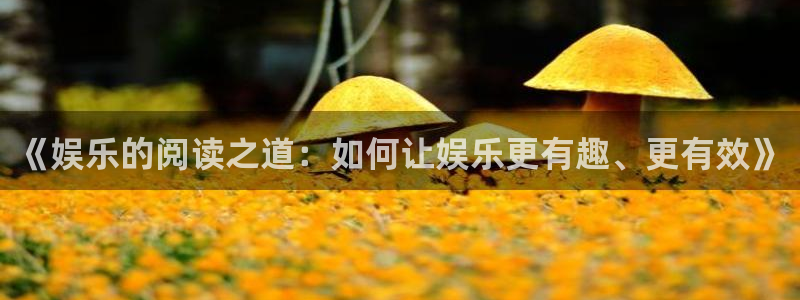 伟德国际1946体育官网注册：《娱乐的阅读之道：如何让娱乐更有趣、更有效》