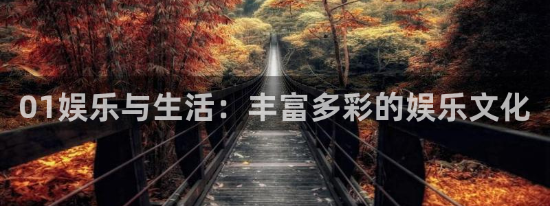 伟德国际19465：01娱乐与生活：丰富多彩的娱乐文化
