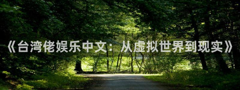 伟德国际19463代理：《台湾佬娱乐中文：从虚拟世界到现实》