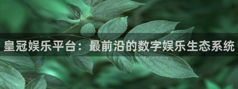伟德国际1946平台官网：皇冠娱乐平台：最前沿的数字娱乐生态系统