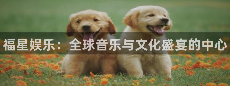 伟德国际19463登陆：福星娱乐：全球音乐与文化盛宴的中心