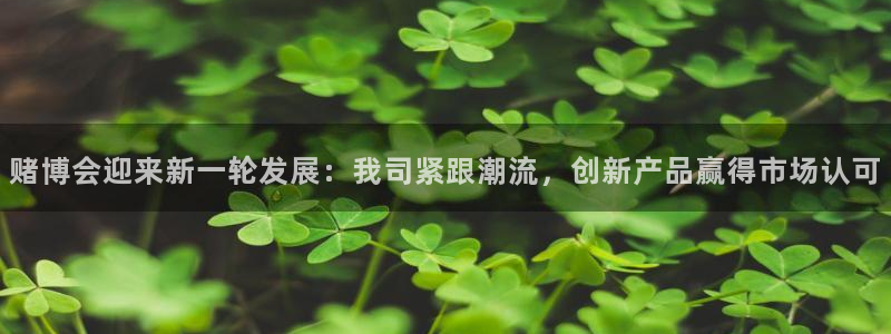 伟德国际19463登录：赌博会迎来新一轮发展：我司紧跟潮流，创新产品赢得市场认可