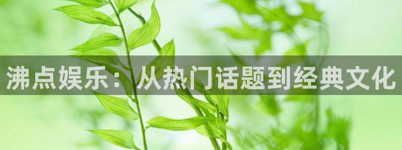 伟德国际1946体育2官网入口：沸点娱乐：从热门话题到经典文化